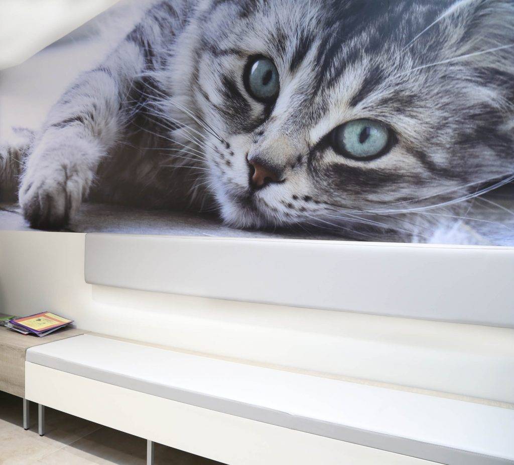 Clinique vétérinaire du Vernet (31)