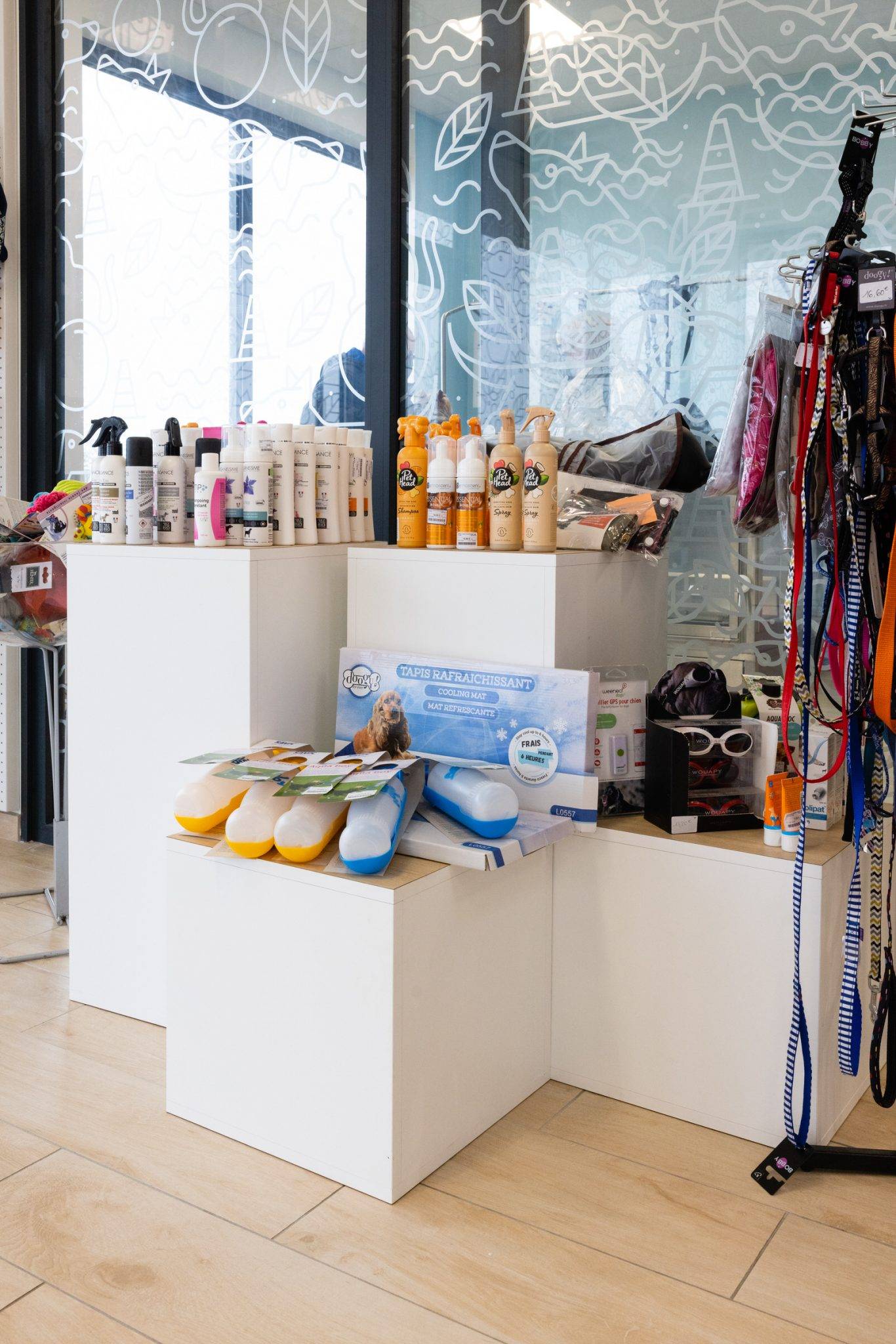 clinique-veterinaire-presentation-cube