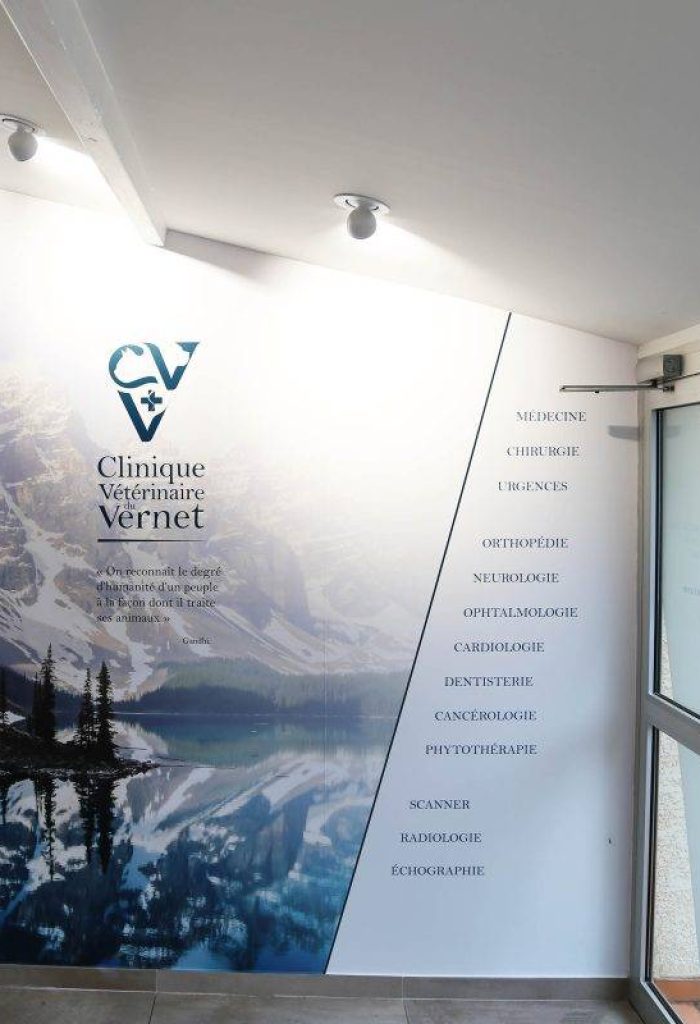 Agencement pharmarcie, Clinique Vernet